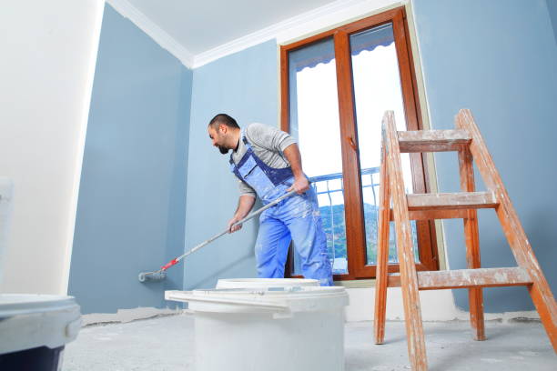 Best Crawl Space Mold Remediation  in Tremont, IL