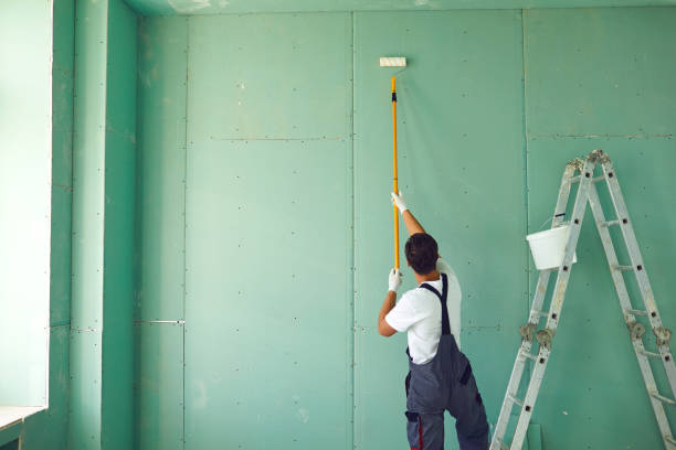 Best Mold Damage Restoration  in Tremont, IL