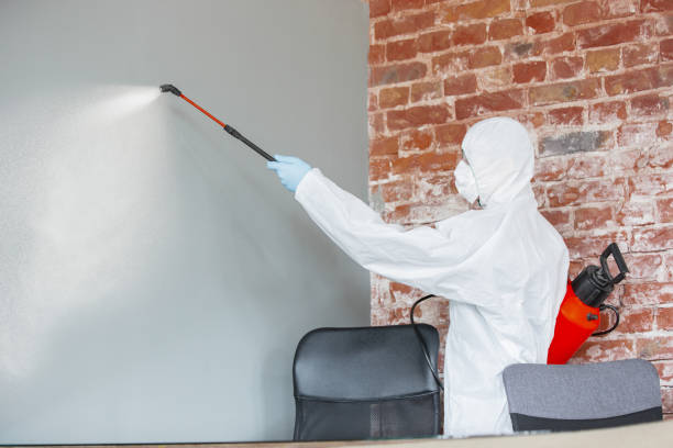 Best Mold-Related Health Consultation  in Tremont, IL