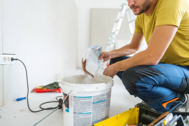 Best Air Quality Testing for Mold Spores  in Tremont, IL