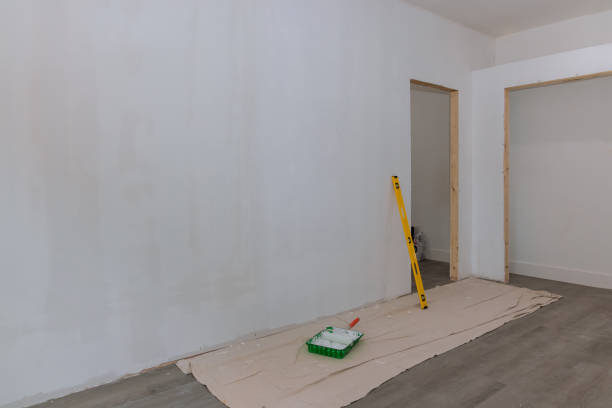 Best Black Mold Removal  in Tremont, IL
