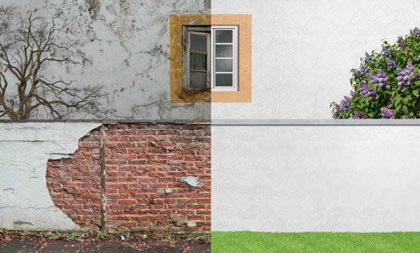 Best Residential Mold Inspection & Testing  in Tremont, IL