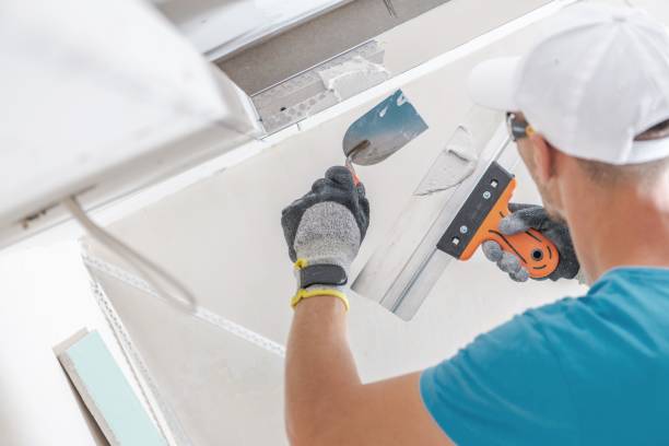 Best Forensic Mold Investigation  in Tremont, IL